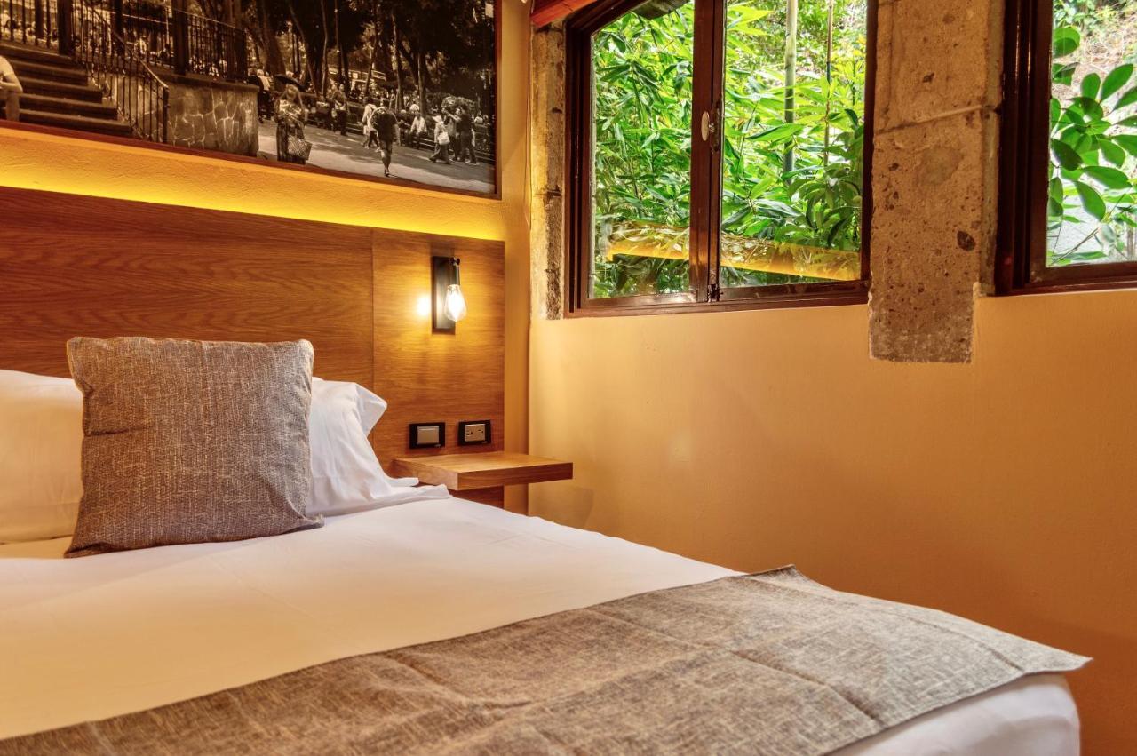 Mi Zona Lodging Coyoacan Mexico City Exteriör bild